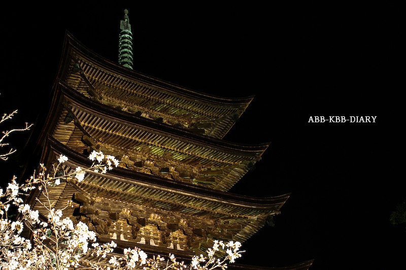 ABB-KBB-DIARY: 瑠璃光寺の夜桜【<b>山口県</b>】