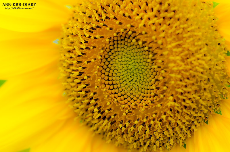 12080720120807-K5025933.jpg